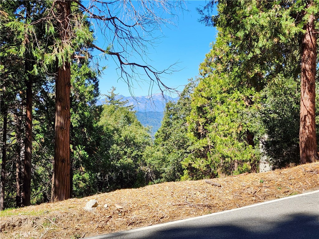 MLS #RW24084913 image #8