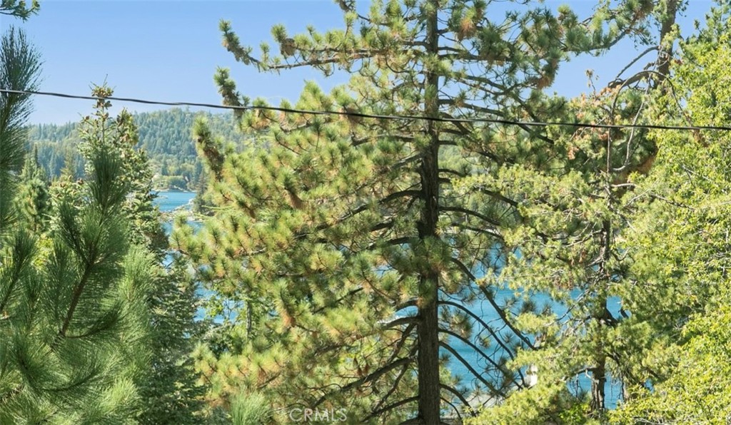 MLS #RW24156857 image #16