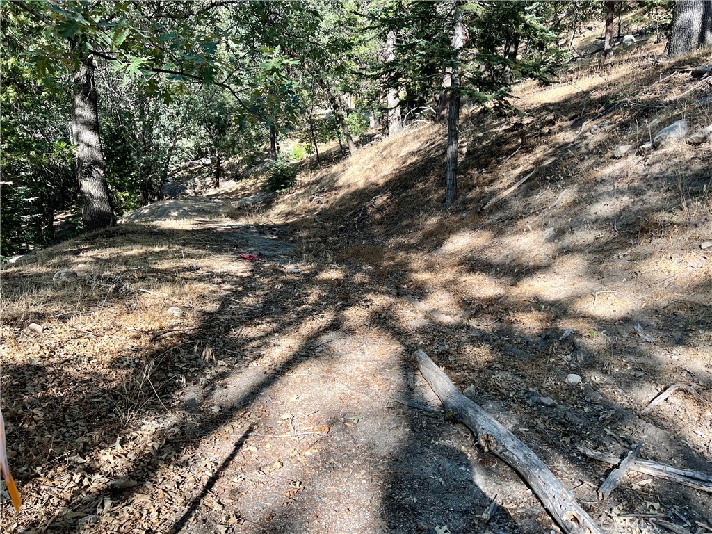 MLS #RW24240814 image #10