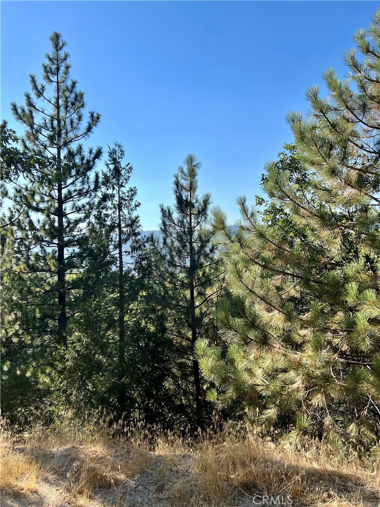 MLS #RW24240814 image #11