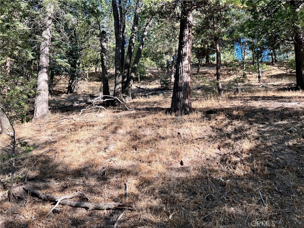 MLS #RW24240814 image #8