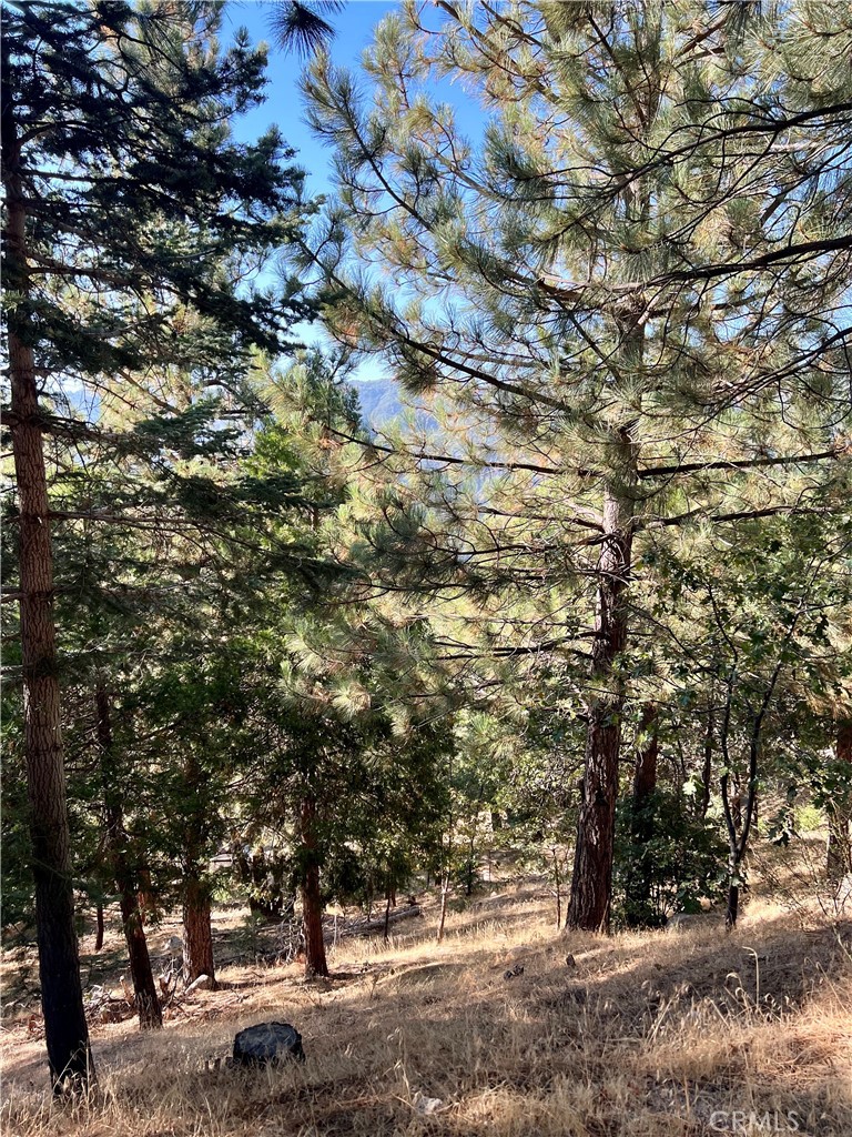 MLS #RW24240814 image #9