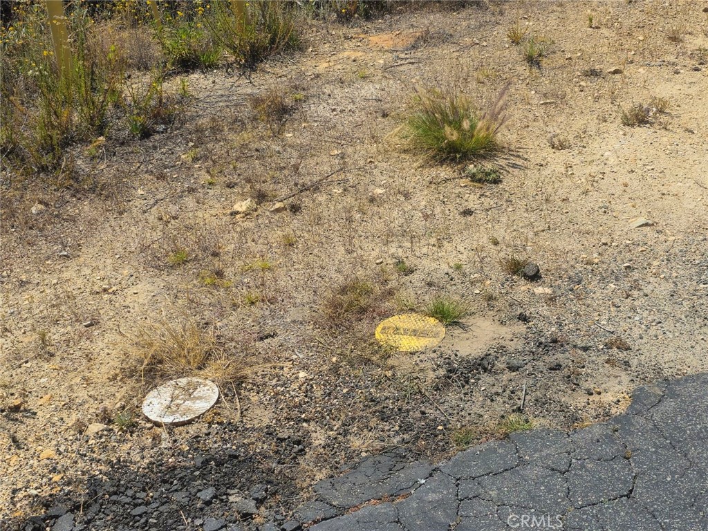 MLS #SB24124742 image #1