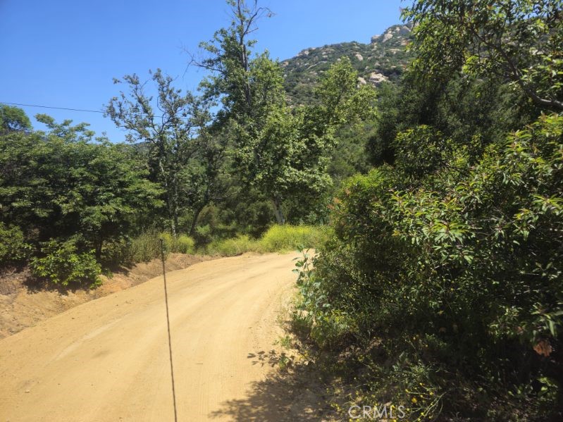 MLS #SB24124742 image #10