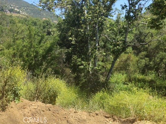 MLS #SB24124742 image #14