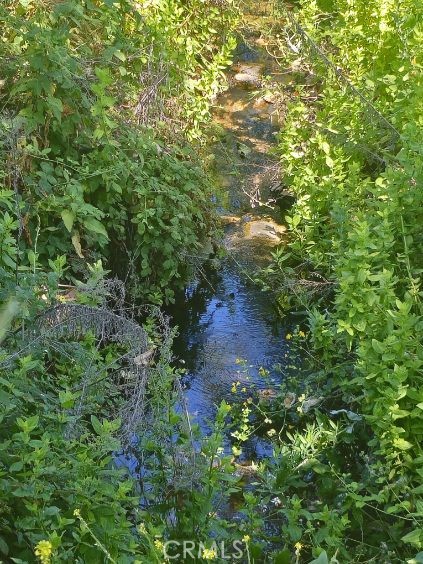 MLS #SB24124742 image #15