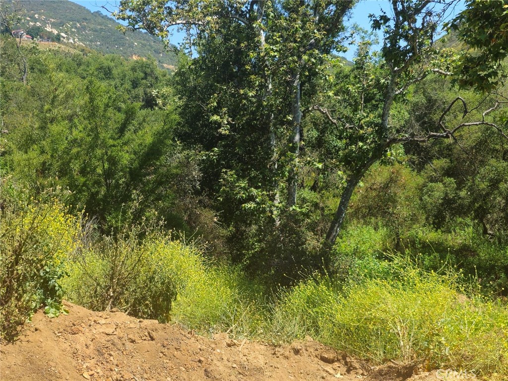 MLS #SB24124742 image #2