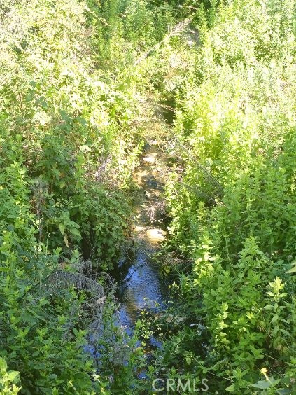 MLS #SB24124742 image #3