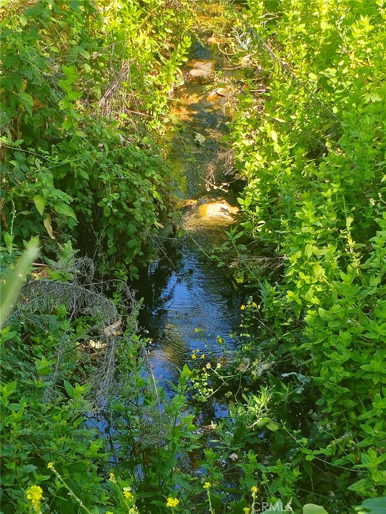 MLS #SB24124742 image #9