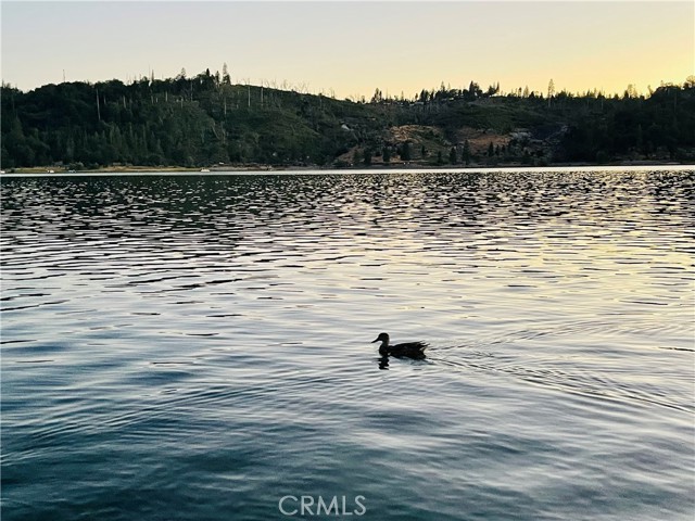 MLS #SB24148151 image #26