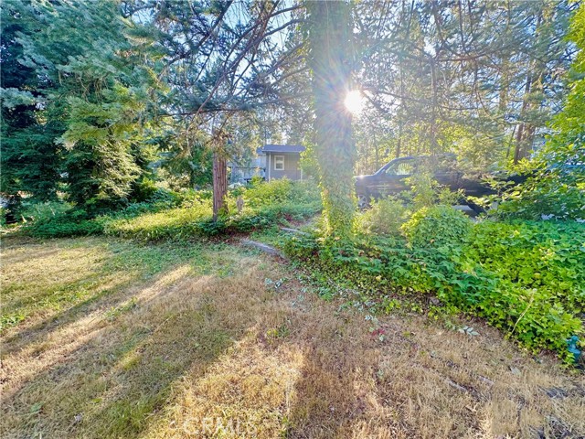 MLS #SB24148151 image #4