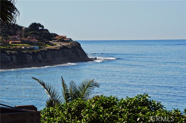 MLS #SB25007311 image #33