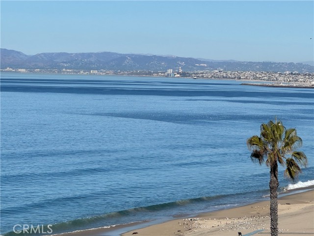 MLS #SB25007311 image #40