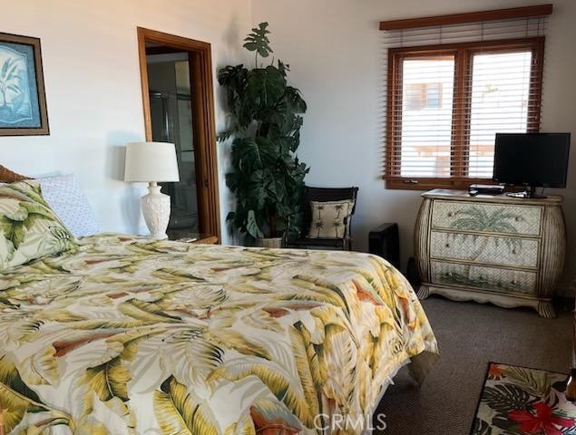 MLS #SB25019733 image #30