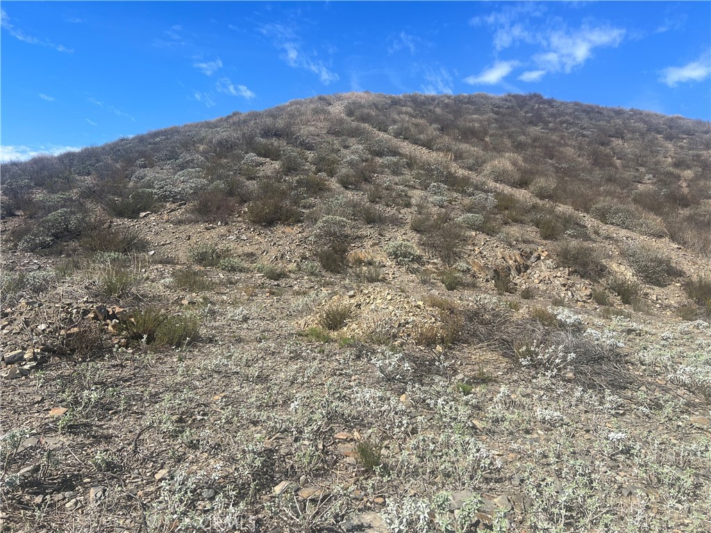 MLS #SB25038562 image #4