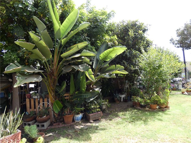 MLS #SB25042153 image #11