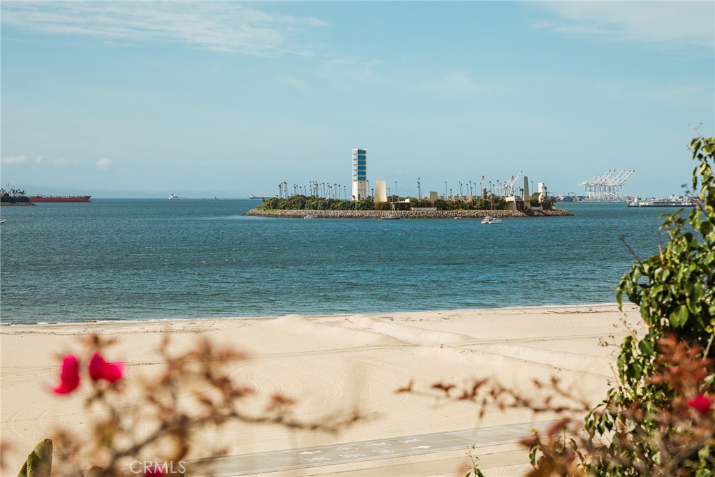 MLS #SB25056661 image #43