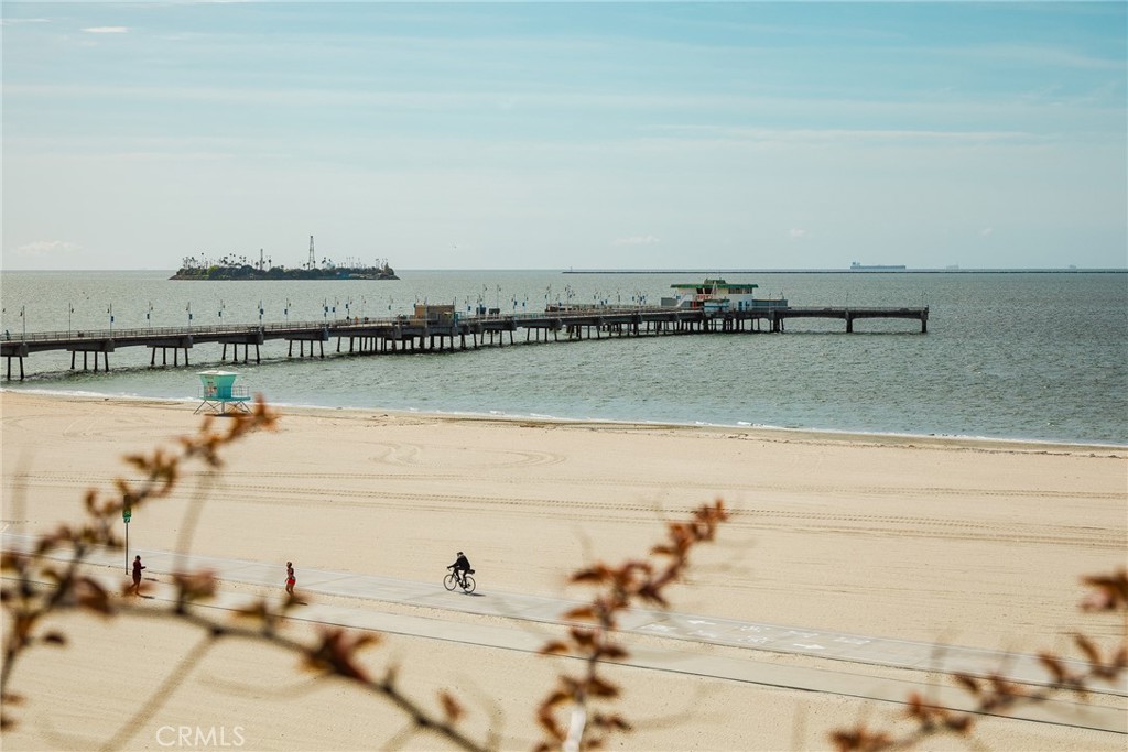 MLS #SB25056661 image #44