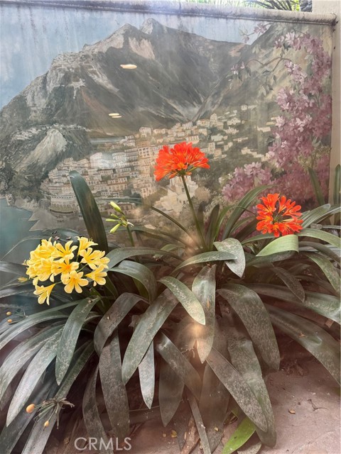 MLS #SB25078599 image #63