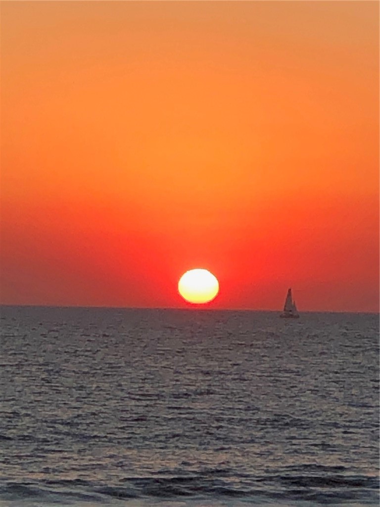 MLS #SB25078599 image #7