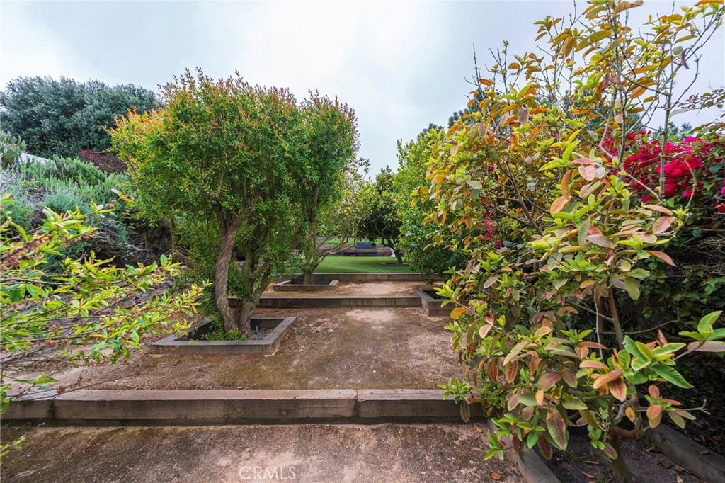 MLS #SB25087859 image #42