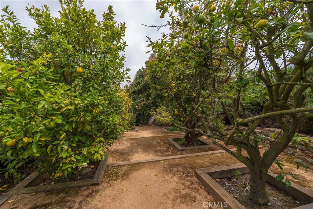 MLS #SB25087859 image #44