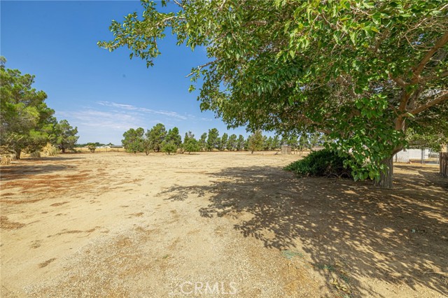 MLS #SB25096730 image #4