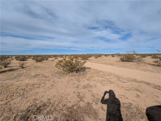 MLS #SB25106148 image #2