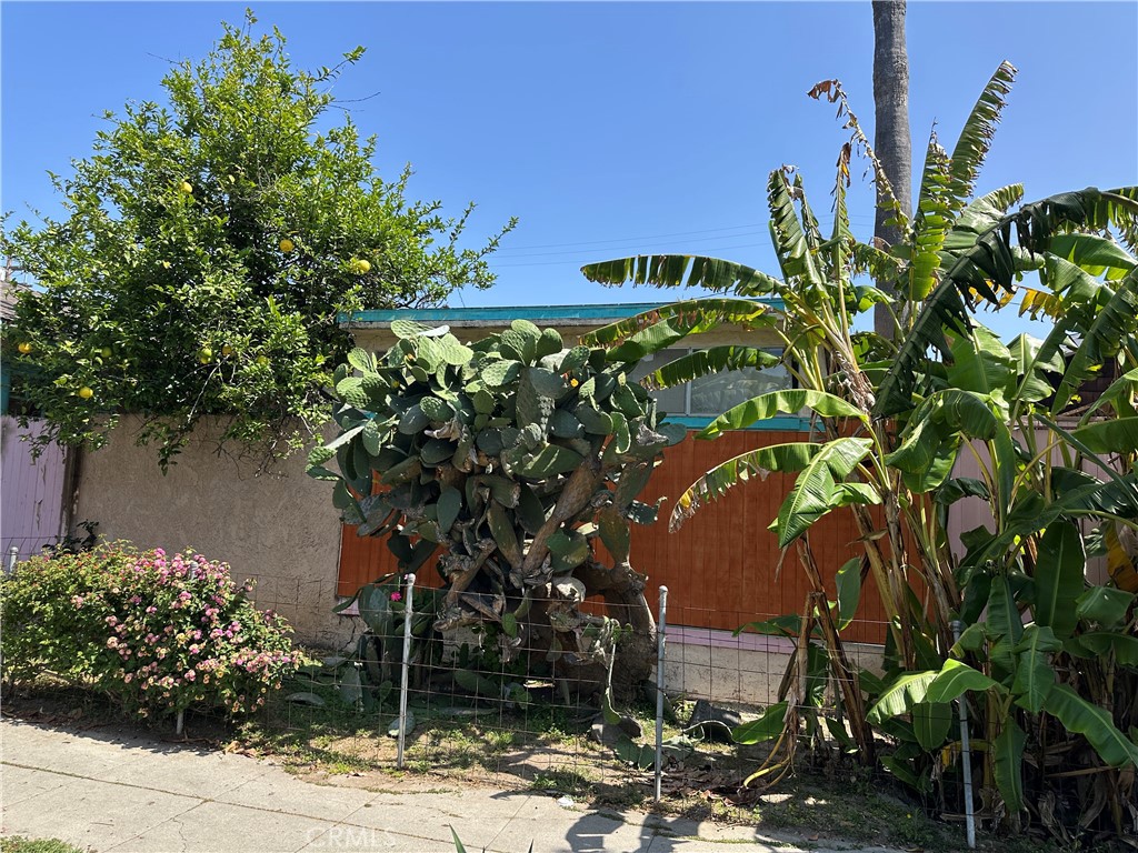 MLS #SB25115564 image #0