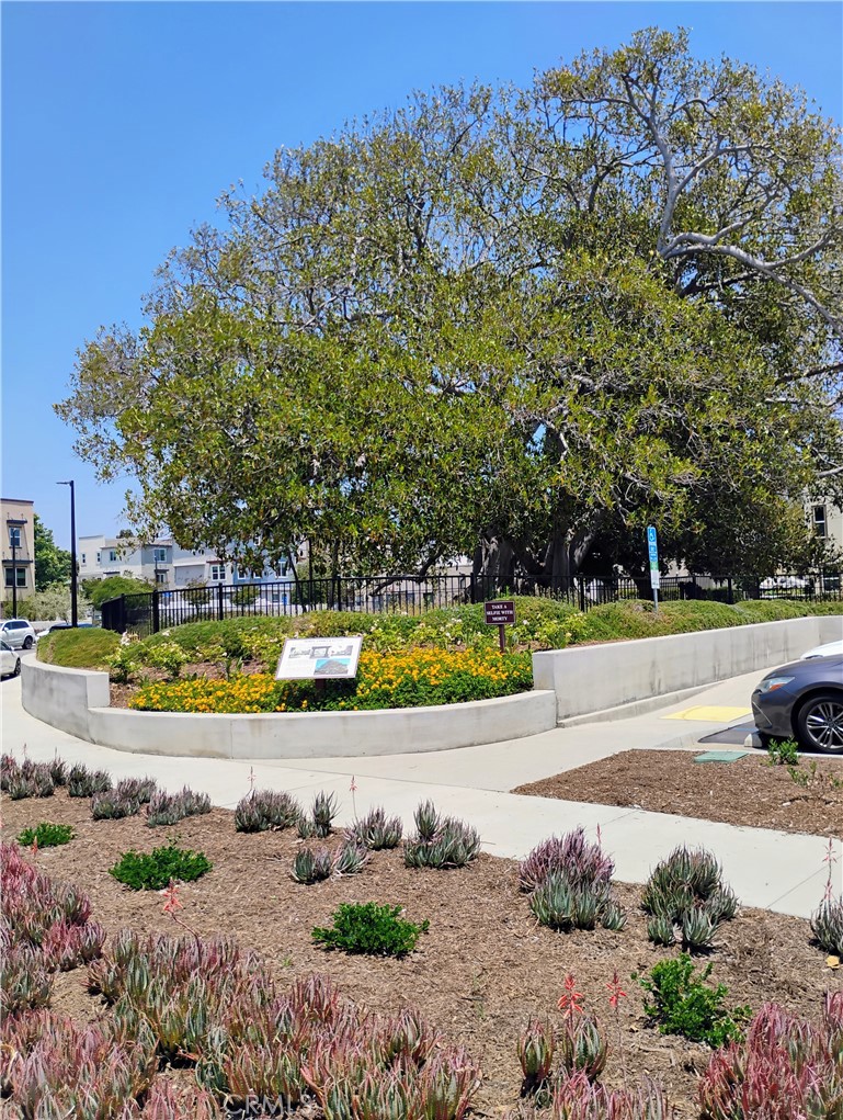 MLS #SB25132267 image #34