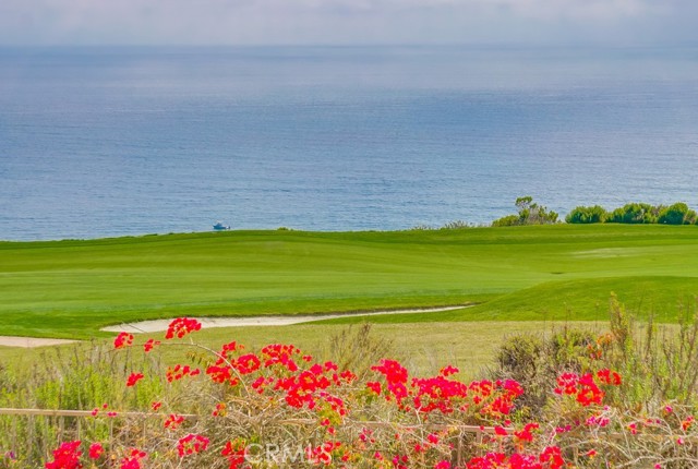 MLS #SB25133076 image #24