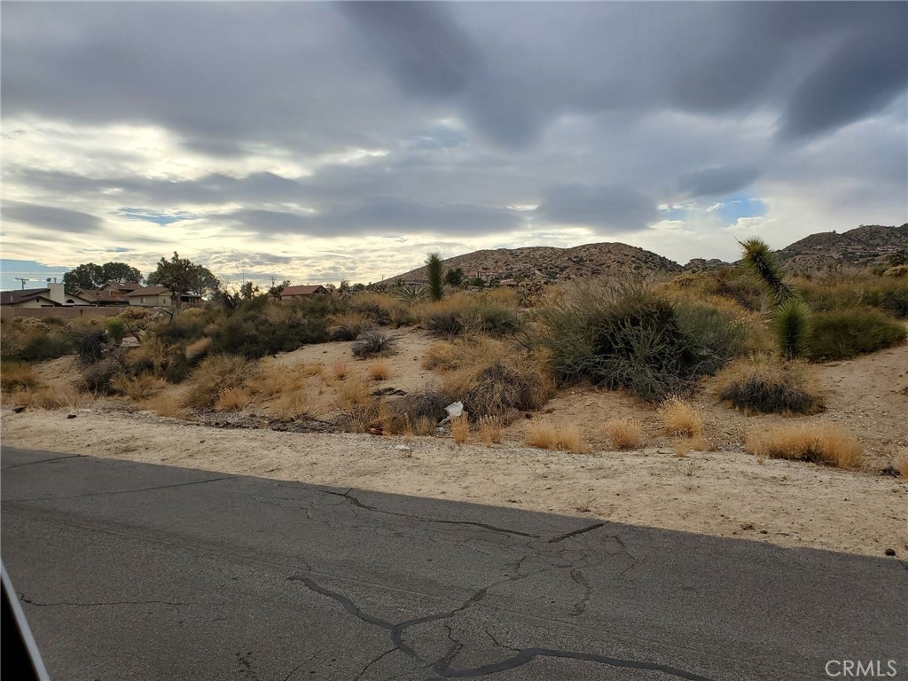 MLS #SB25140350 image #6