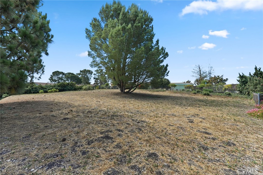 MLS #SB25149940 image #12