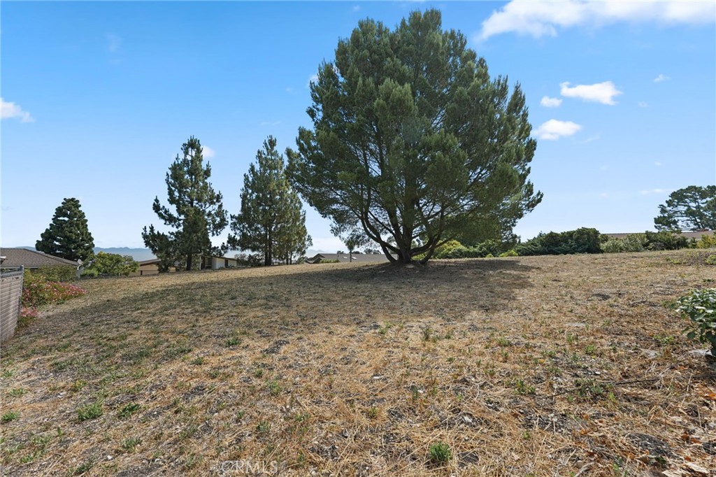 MLS #SB25149940 image #13