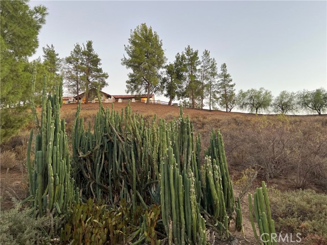 MLS #SB25151094 image #31