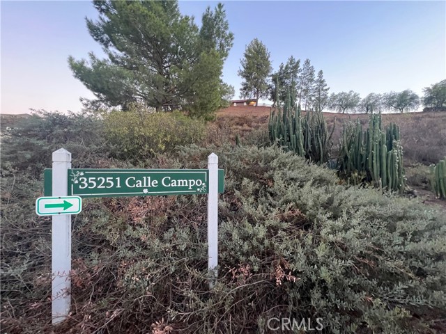 MLS #SB25151094 image #32