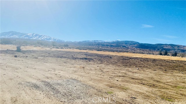 MLS #SB25152131 image #4