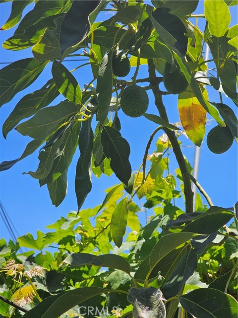 MLS #SB25153090 image #49