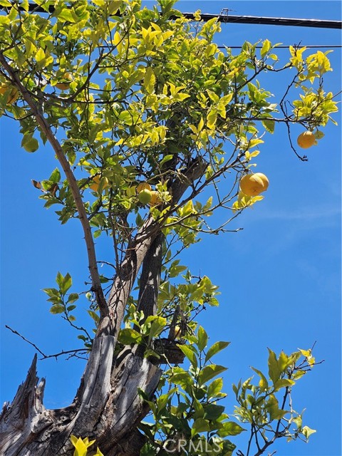 MLS #SB25153090 image #51