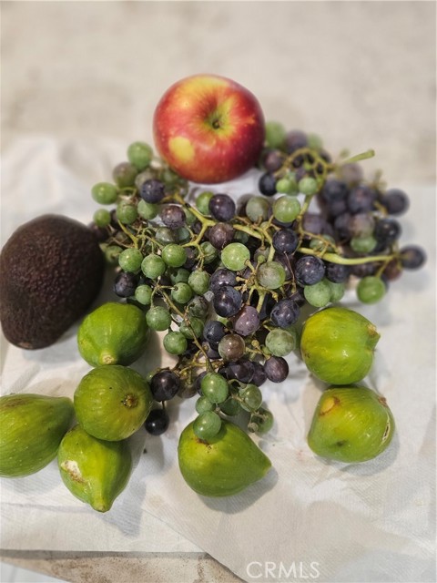 MLS #SB25153090 image #53