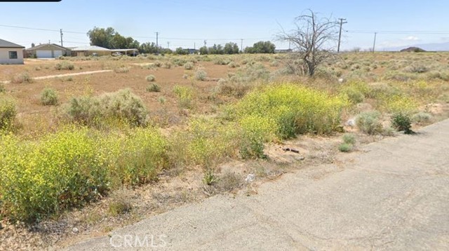 MLS #SB25165461 image #1