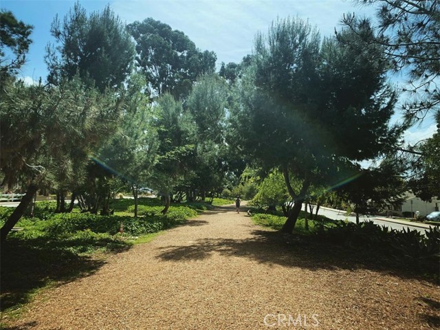 MLS #SB25184514 image #69