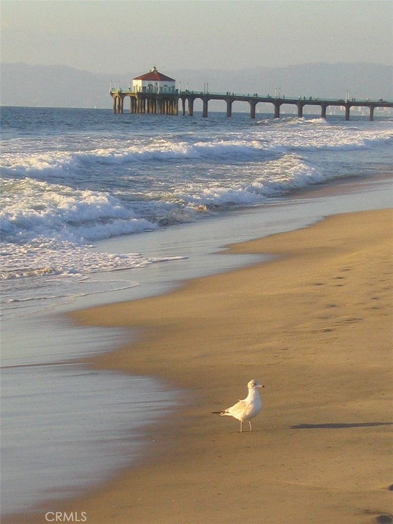 MLS #SB25189390 image #25