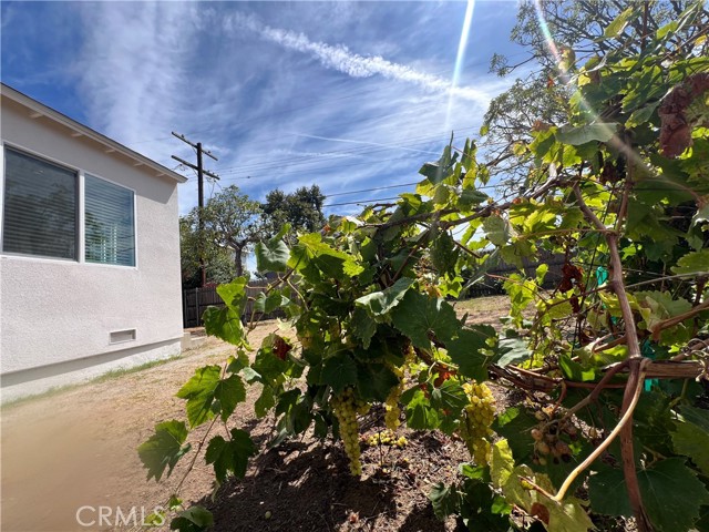 MLS #SB25190389 image #17