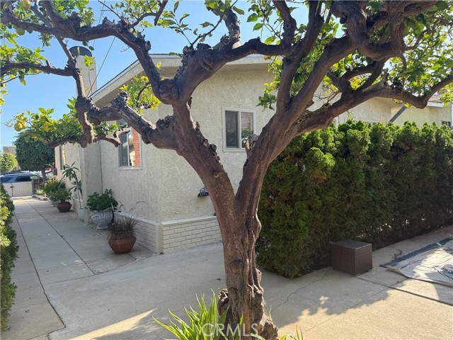 MLS #SB25198710 image #11