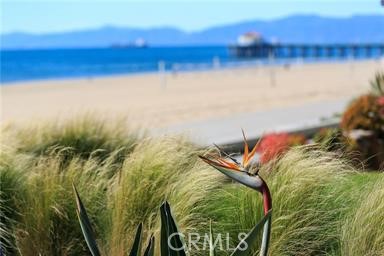 MLS #SB25199017 image #31