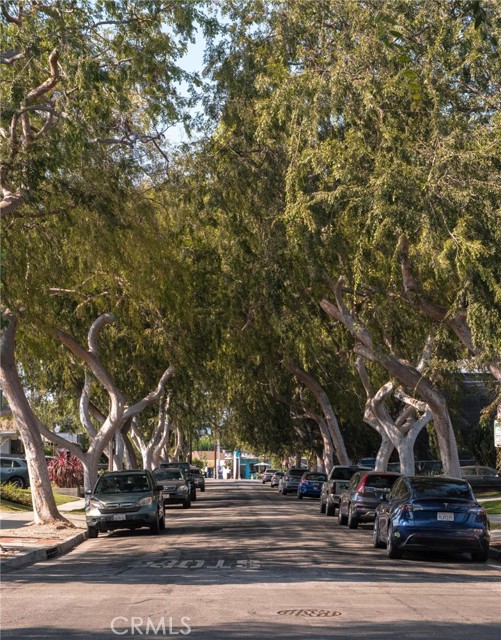 MLS #SB25200197 image #7