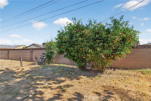 MLS #SB25215780 image #11