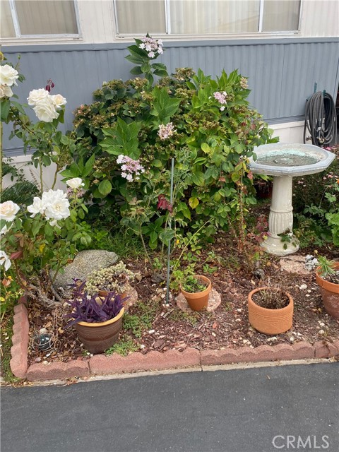 MLS #SB25216863 image #1