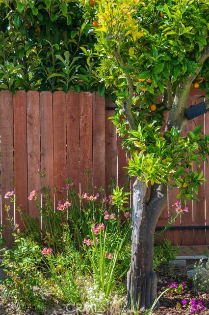 MLS #SB25220735 image #36